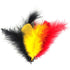 Red, Black & Yellow Craft Feathers